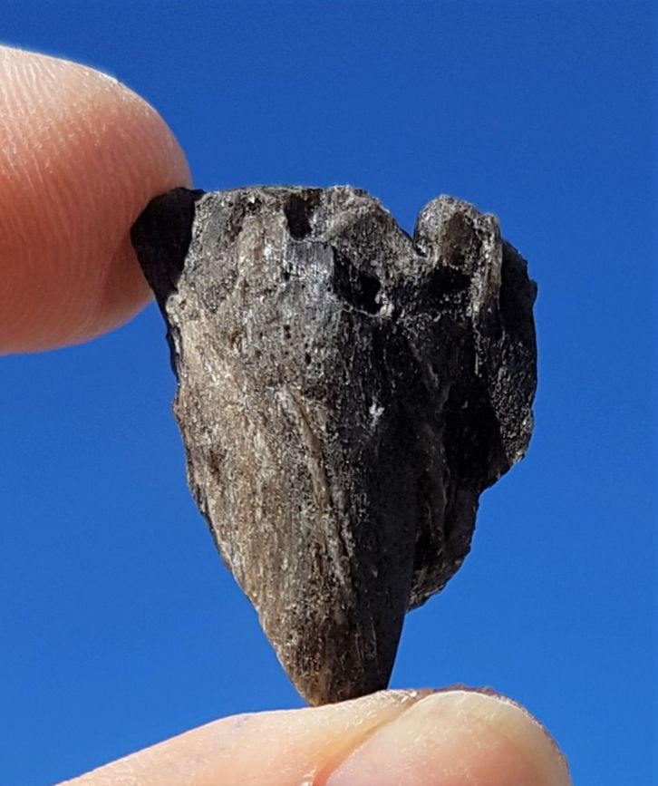 Thumbnail: Darwin Tektite B+++ 7g