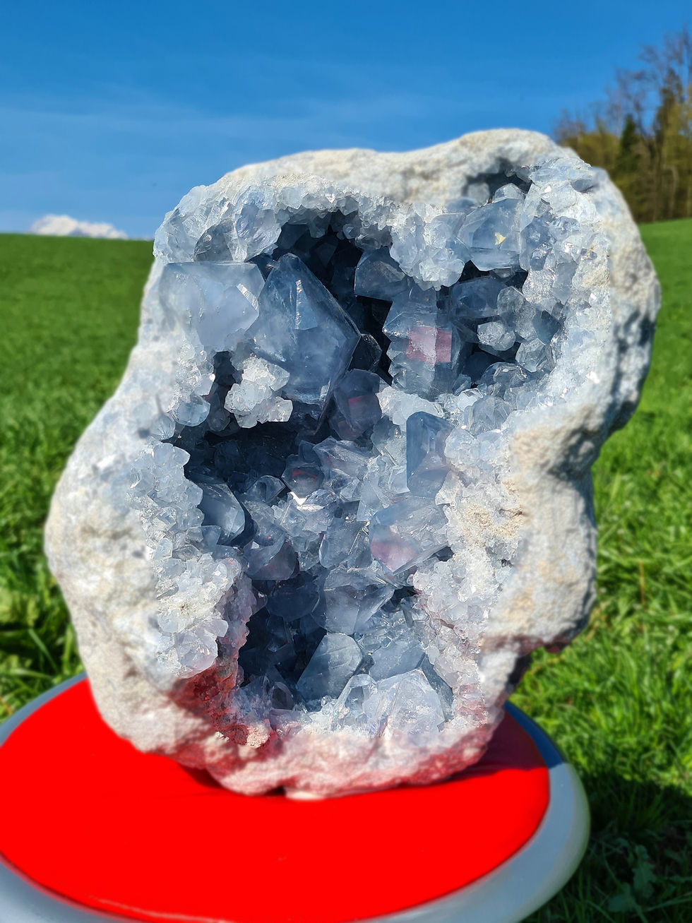 Thumbnail: Celestin A+++ 14,7kg