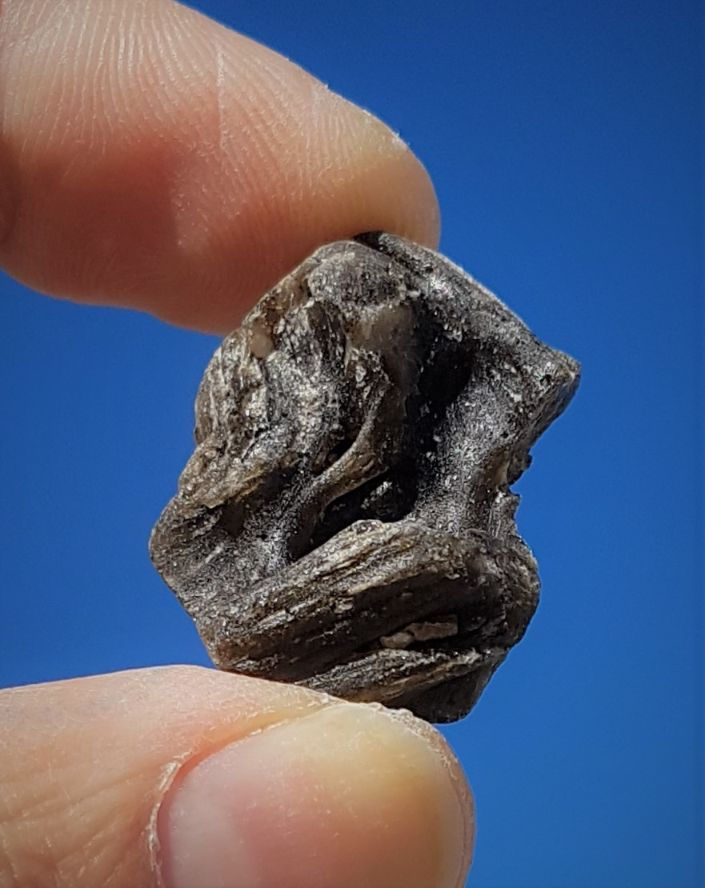 Darwin Tektite A+ 5,6g