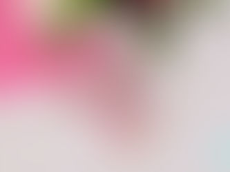 DIY - Wie nähe ich hübsche DIY-Hasenohren-Beißringe aus kuscheligem Musselinstoff?