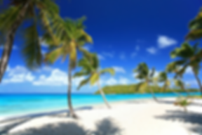 image (5).png
