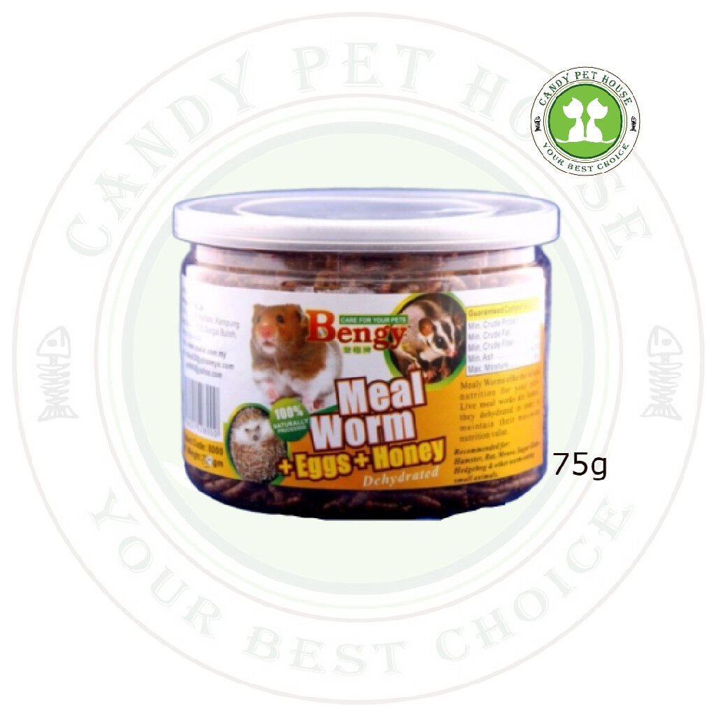Bengy Meal Worm / Mealworm 75g (+Eggs +Honey) Dehydrated Hamster Dried Food Suga