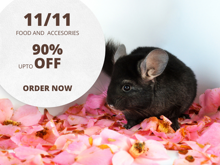 11/11 Discount Sales!