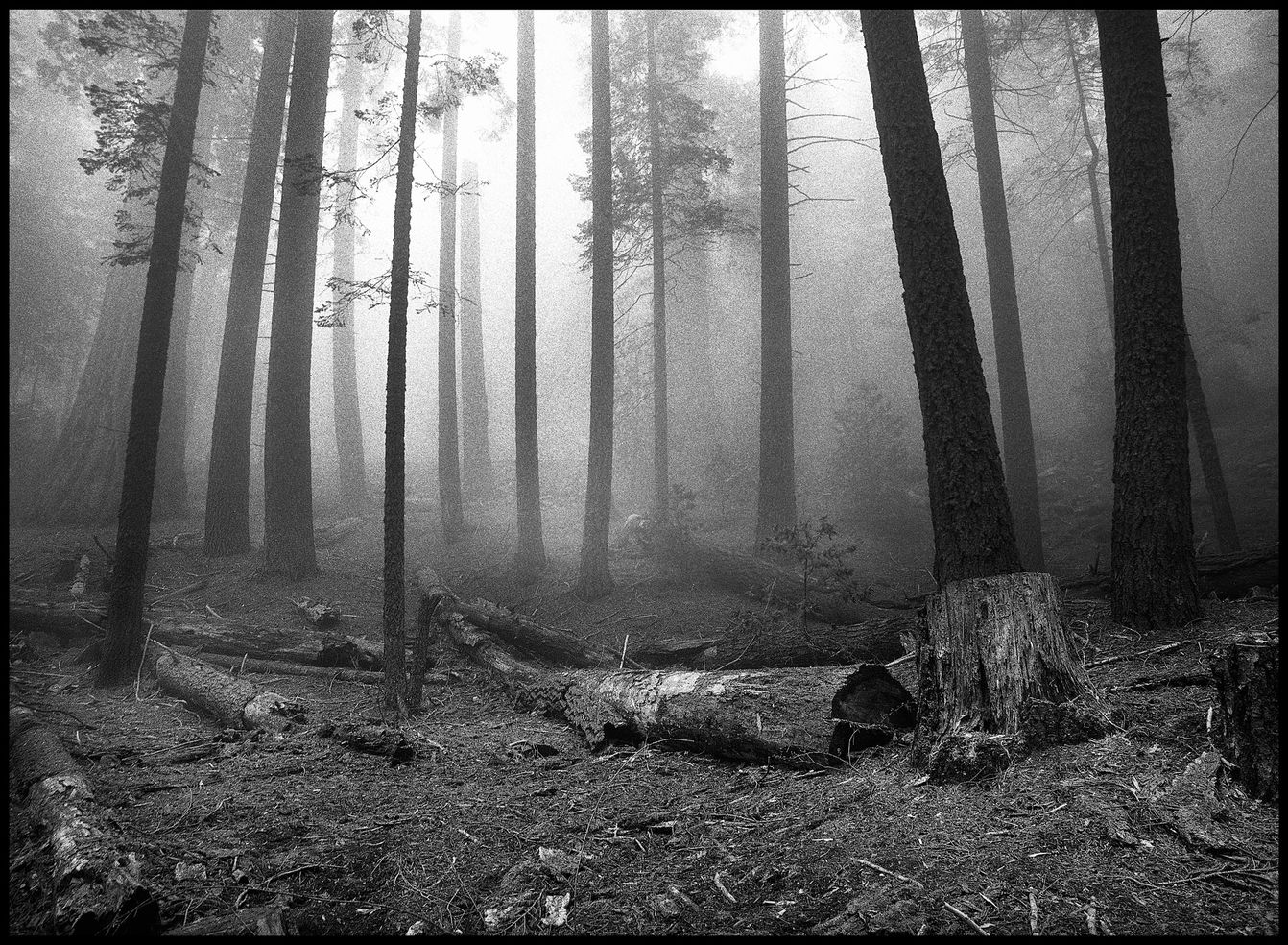 Somewhere California 401.jpg