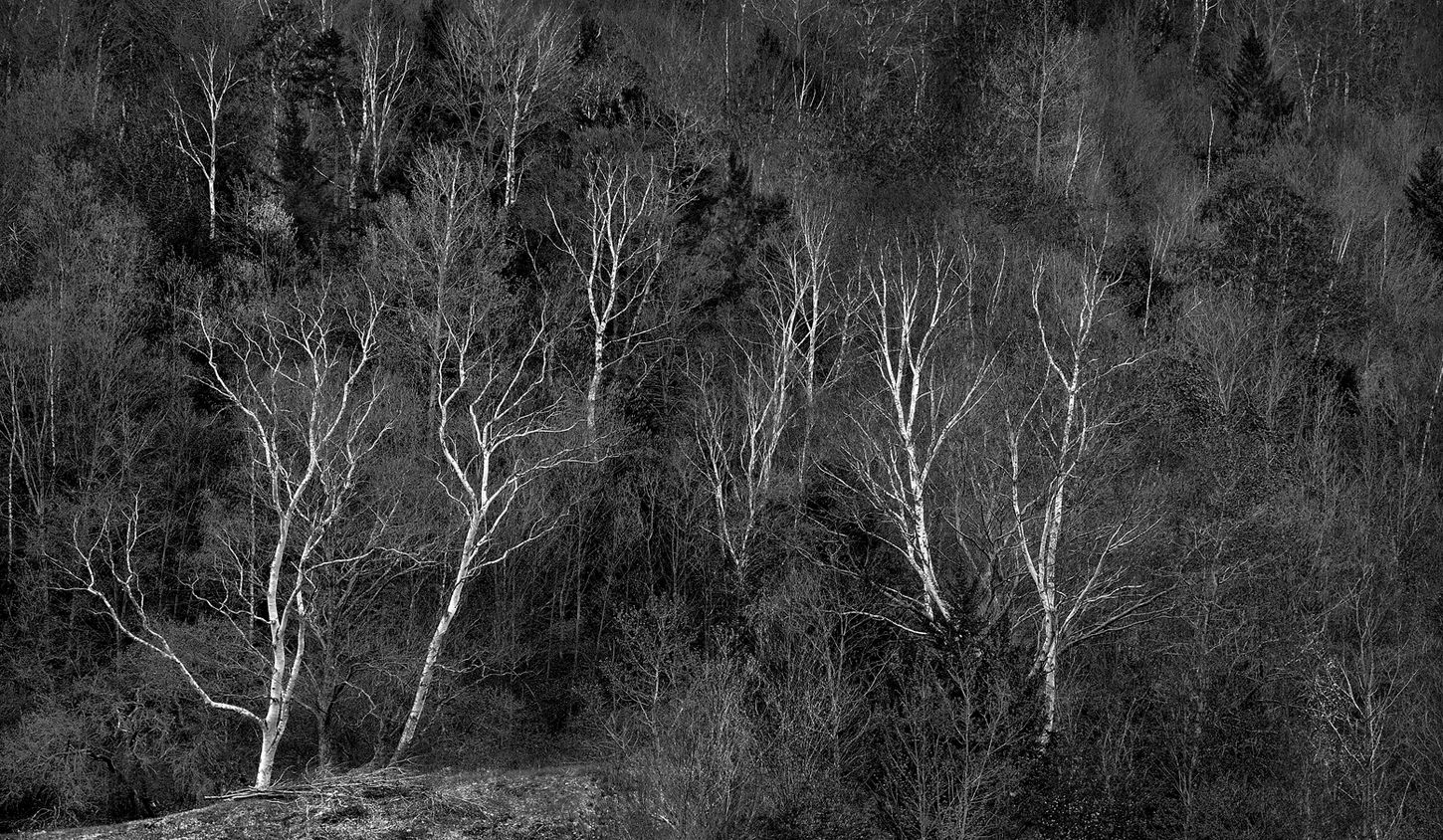 Somewhere Montana.jpg