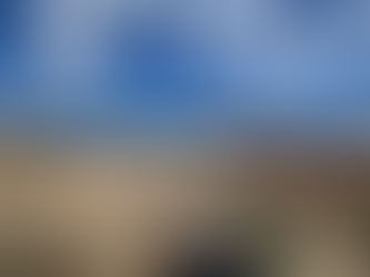 Advocacy: The Emotional Rollercoaster of Fighting for What's Right