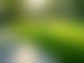 Eco-Friendly Lawn Care Services in Augusta, GA