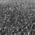 (E)MOTION