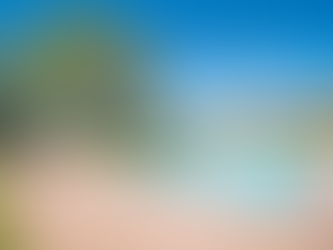 5 Things you need to consider when building your dream self build pool