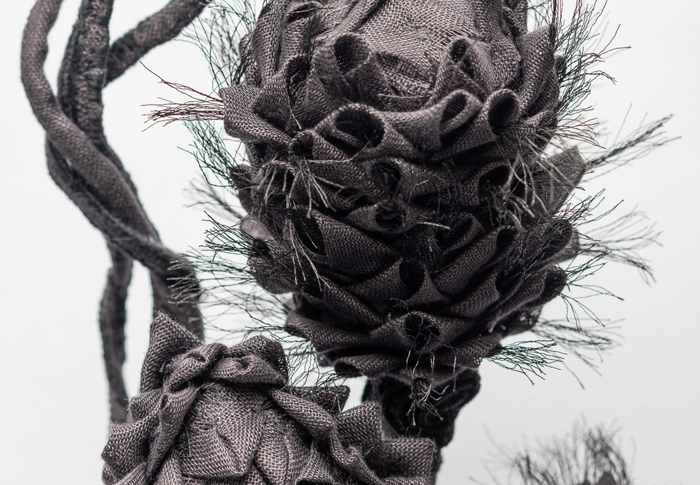 23-04-25 - Obras Lucrecia Romero - Obra 003 - Detalle 2.jpeg