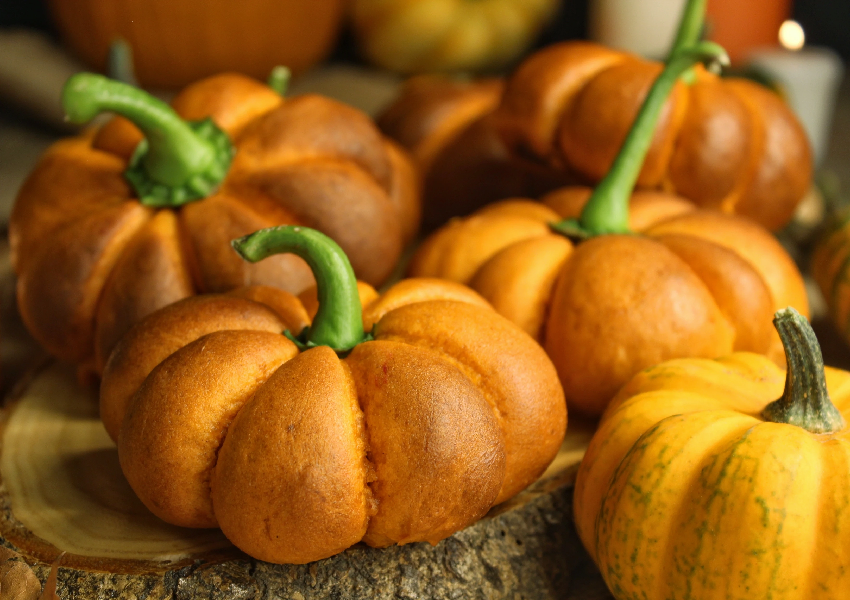 Pumpkin and Chocolate Bread Rolls