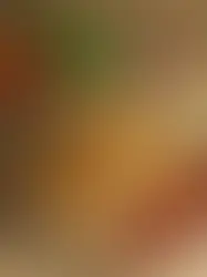 Potato Börek (Patatesli Sigara Böreği)