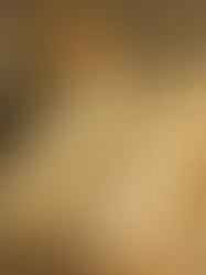 Vegan Ladyfingers (Savoiardi) 