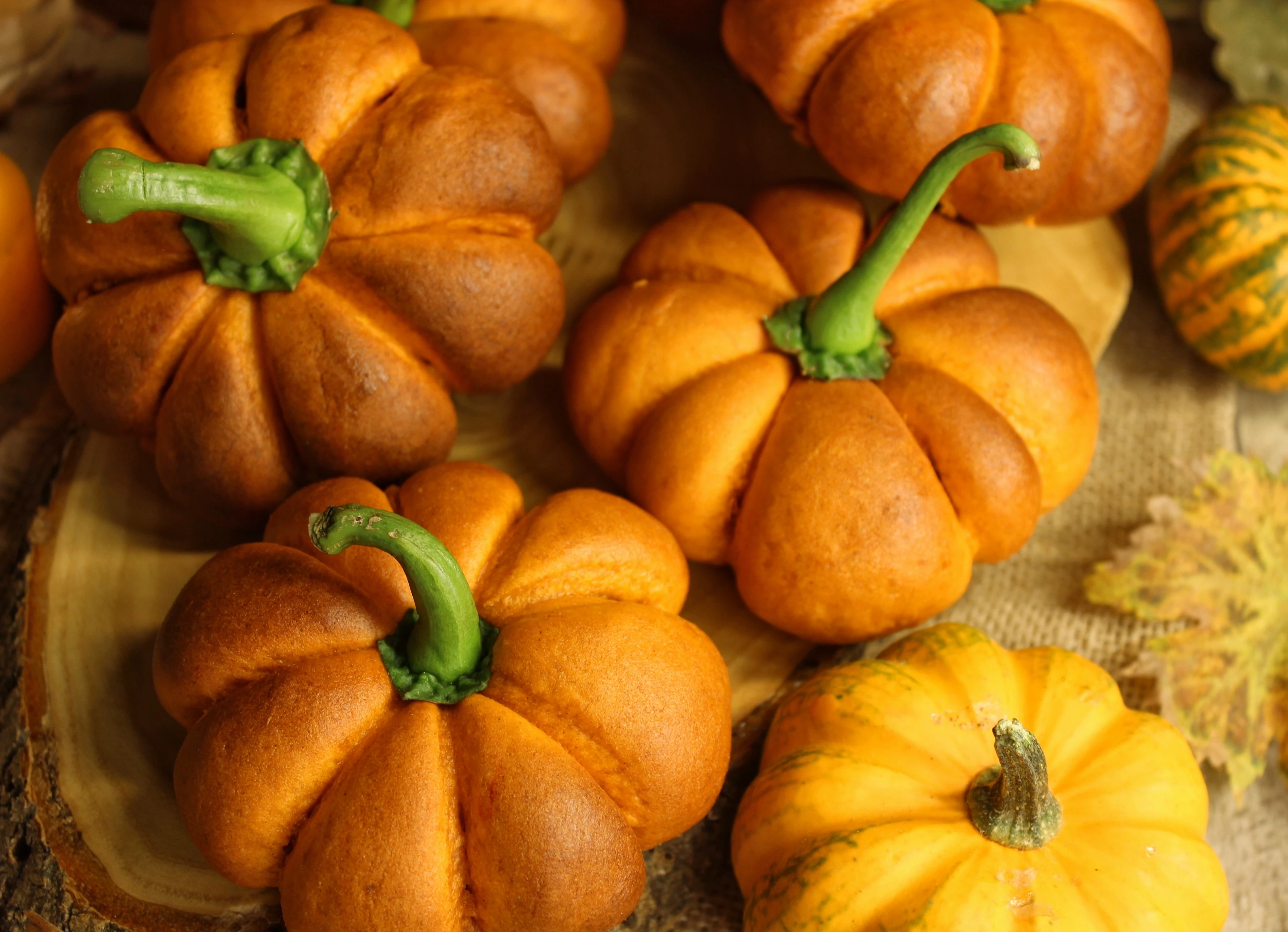 Pumpkin and Chocolate Bread Rolls