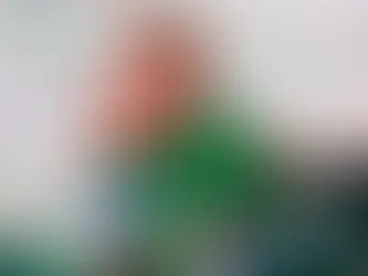 Asumirá Javier Aguirre el mando del Valencia