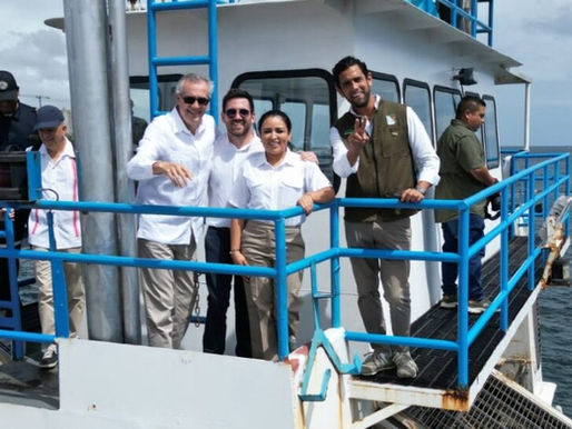 Evalúan opciones para aprovechar el sargazo