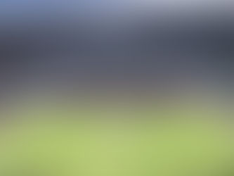 Juegos del Mundial 2026 en cada estadio