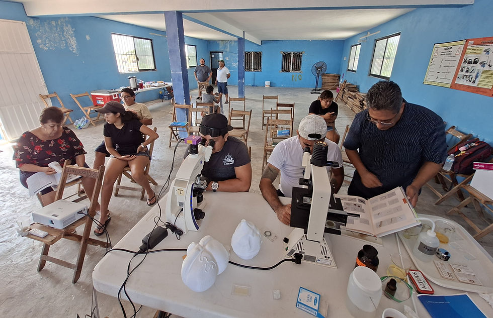 Los pescadores fueron capacitados para recurrir a la observación microscópica para identificar microalgas Foto: cortesía del Centro de Investigación Científica de Yucatán