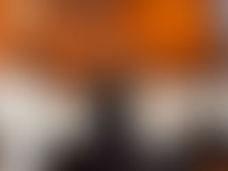 Ofrecen conferencia sobe el medio ambiente