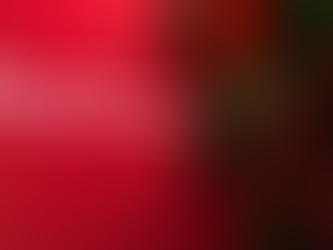 Joyeux Noël à tous nos judokas !