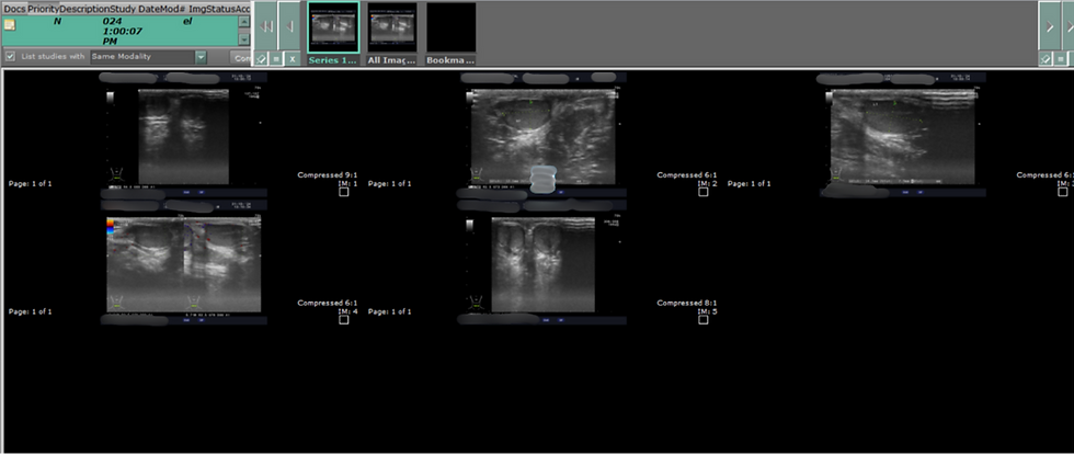 Figure 10: Different Angle Diagnostic Patient Scans with Identifying Patient Information
