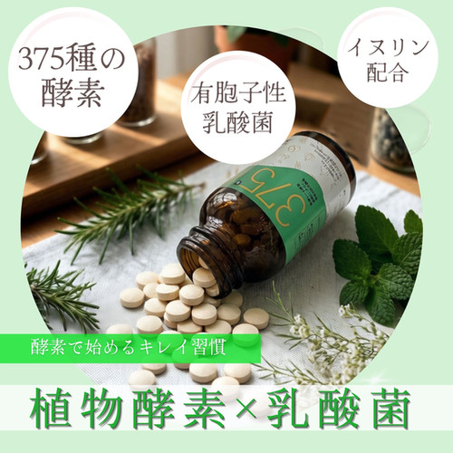 40％OFF】Dr7 植物酵素 | 日本総合医療製薬株式会社