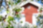 akerblads-tallberg-230519-009.jpg