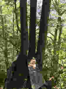 Geborgenheit an einem schönen Platz im Wald