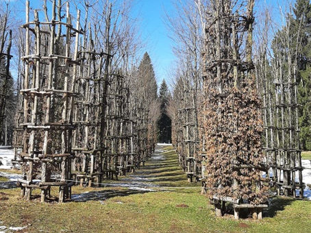 Alla Scoperta di Arte Sella a Olle, Borgo Valsugana: Dove Natura e Creatività si Fondono.