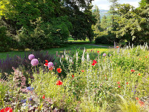 Respira la bellezza senza tempo del Parco Asburgico di Levico Terme!