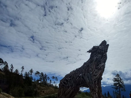🌟 Scopri la bellezza della rinascita in Valsugana! 💖✨