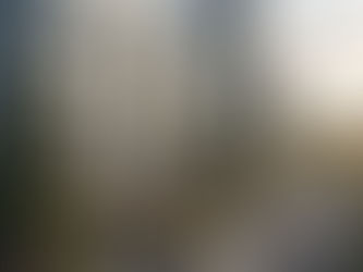 Strata and Condo Document Review Services in Surrey: What Buyers & Professionals Need to Know