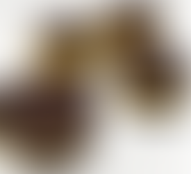 Cookie Dough Oreo Sandwich