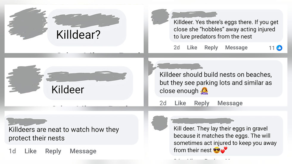 Despicable!