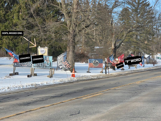 Voters Unmoved After Being Cussed at by Plywood