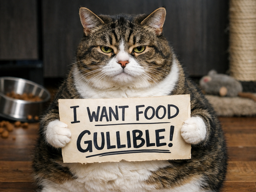 Study Finds Cats Don’t Love Their Owners, They Just Want Food