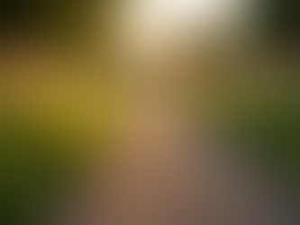 Help review the paths we have already