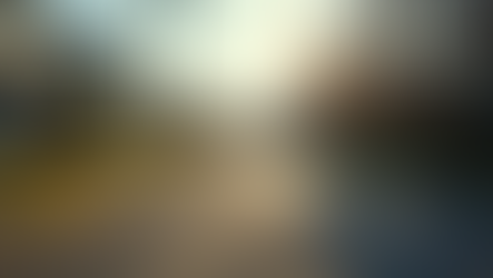 The Value of Trusting Local Knowledge in Real Estate