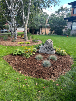 Front yard Landscaping