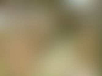 "What is ‘ethical practice’?