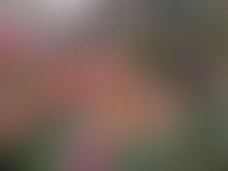 今年もあと2日「カウントダウン」