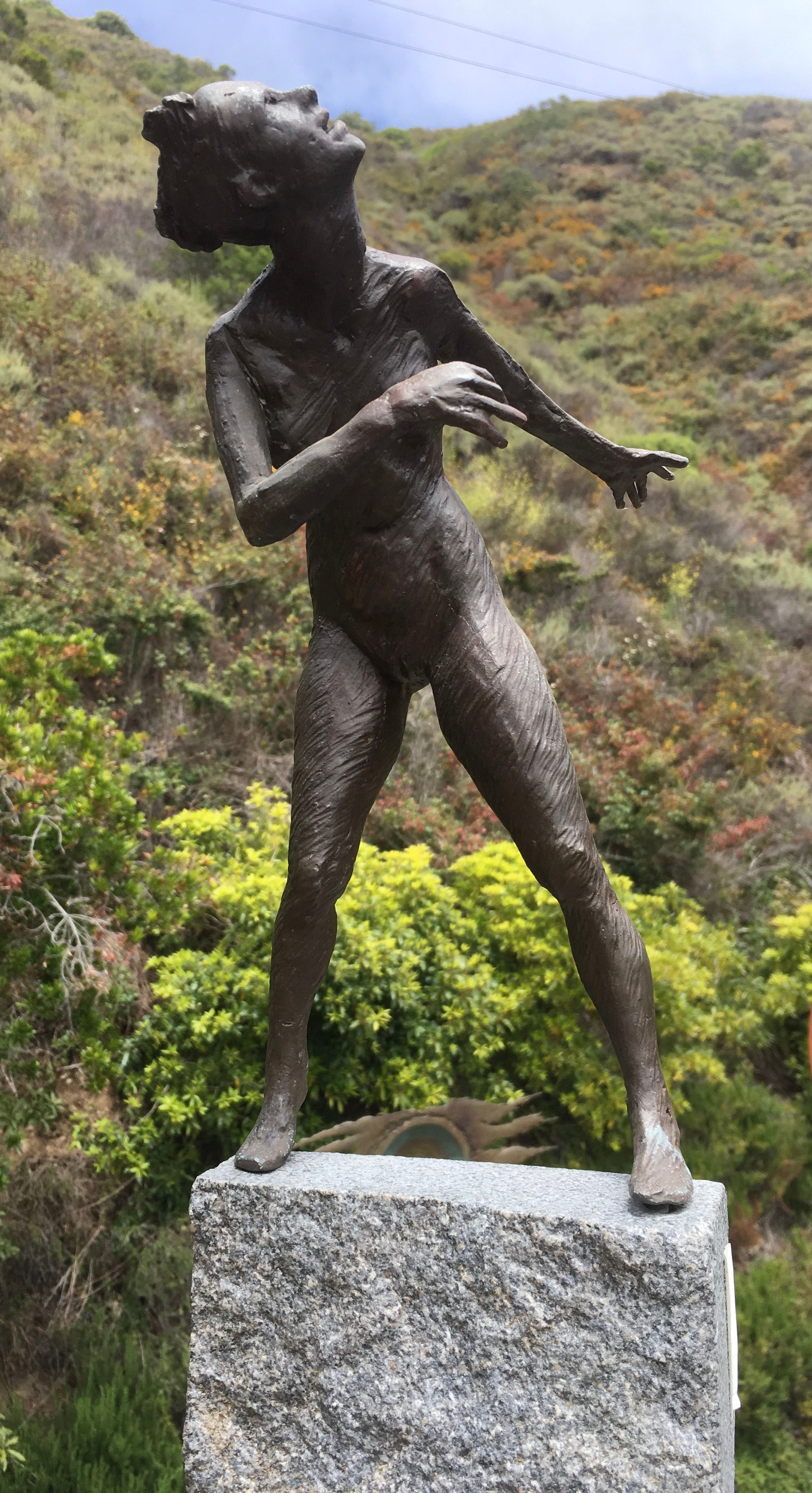 Segmented Figure No. 15