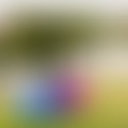 A comunidade que nasceu de experiências de pessoas gordas na sociedade.