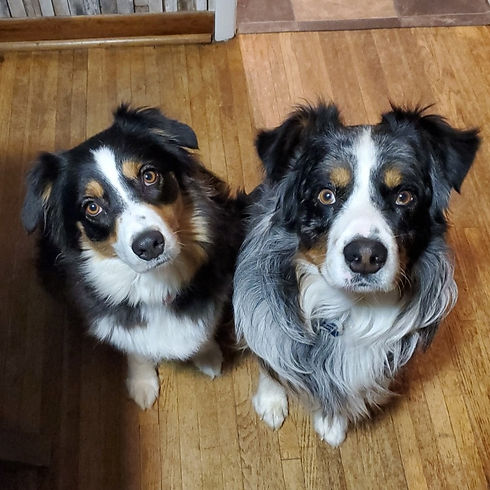 Jack&Zoey.jpg