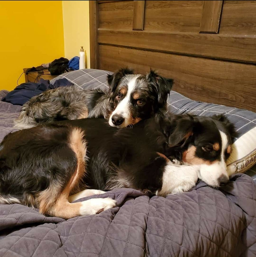 Jack&Zoey2.jpg