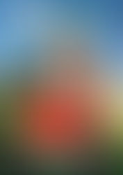 Hommage à Jean Ferrat