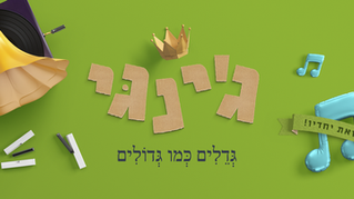ג'ינגי! איך זה עובד?