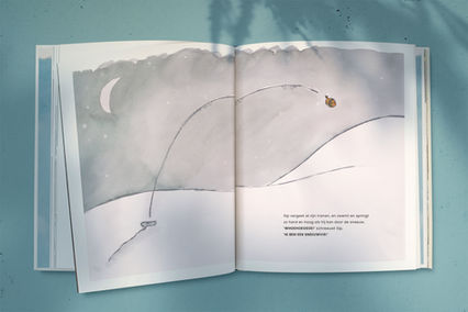 Sip sneeuwvis book illustrations