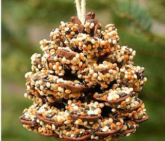 Boredom Buster of the Day: Organic Bird Feeders