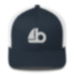 The b Hat